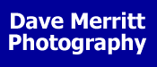 Dave Merritt Photography